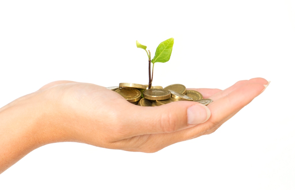 growing plant and money