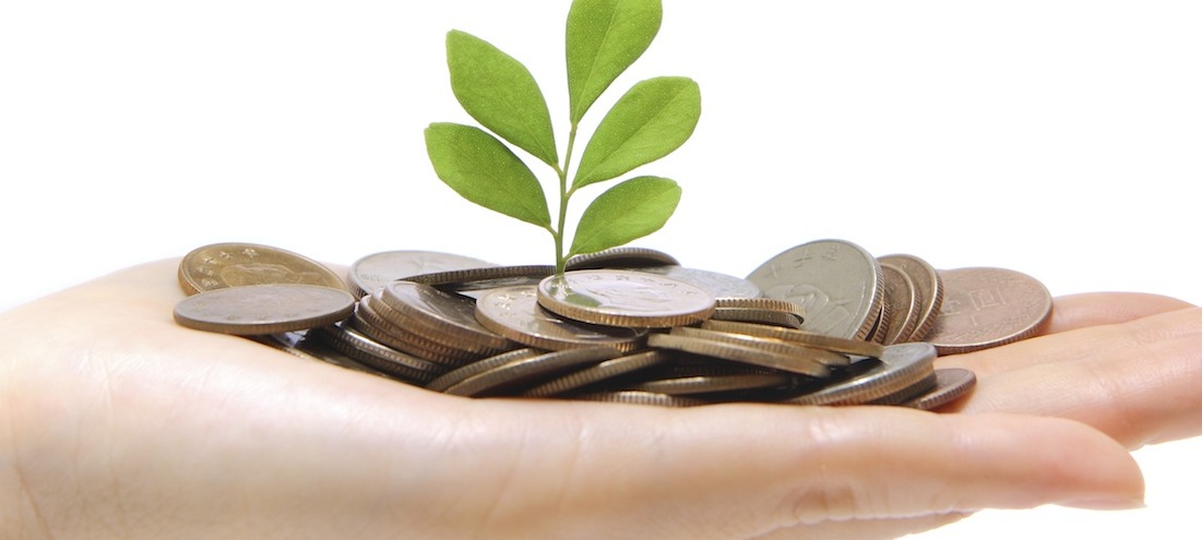 hand holding coins and plant